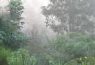 Koorehlandscaping-irrigation-4.jpg; ?>